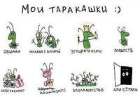 Без названия (5)