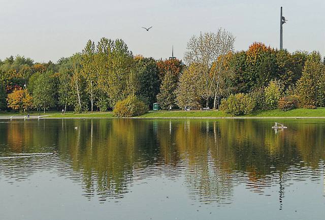 Мосфильмовский пруд в конце сентября. Фото Морошкина В.В.