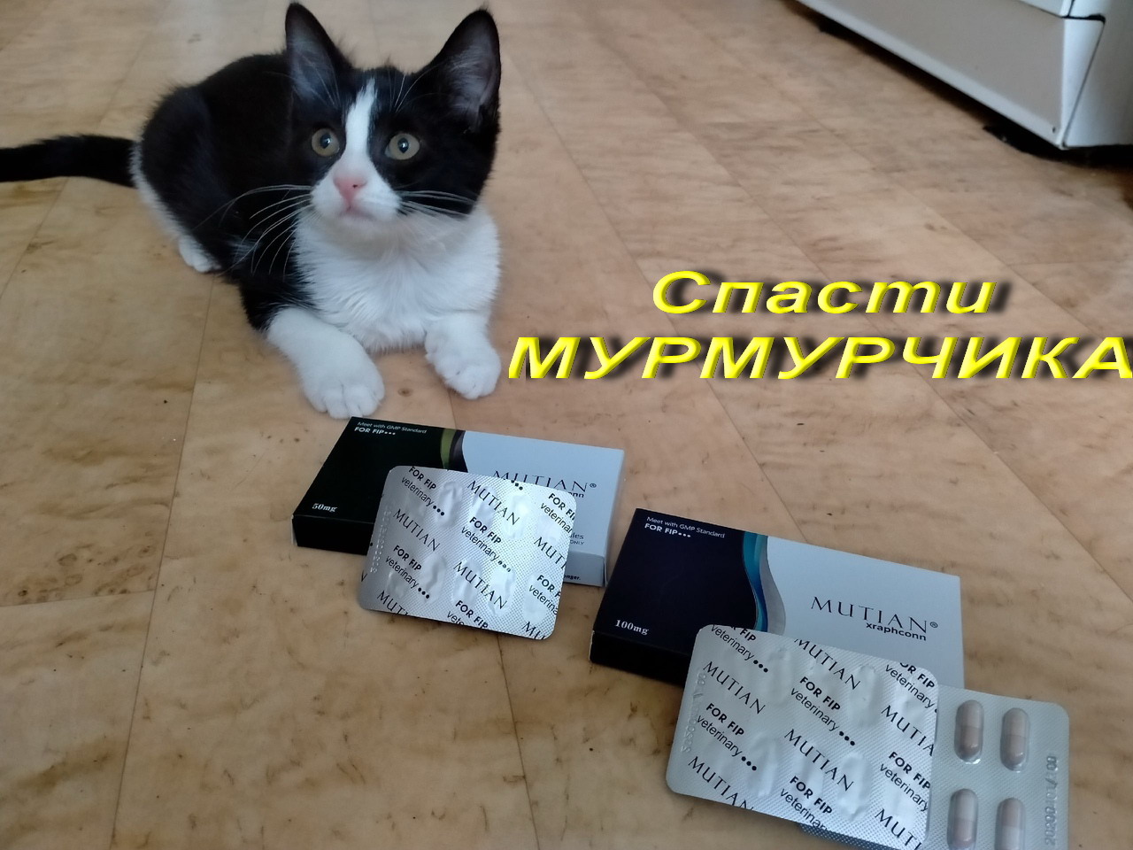 лекартсва2