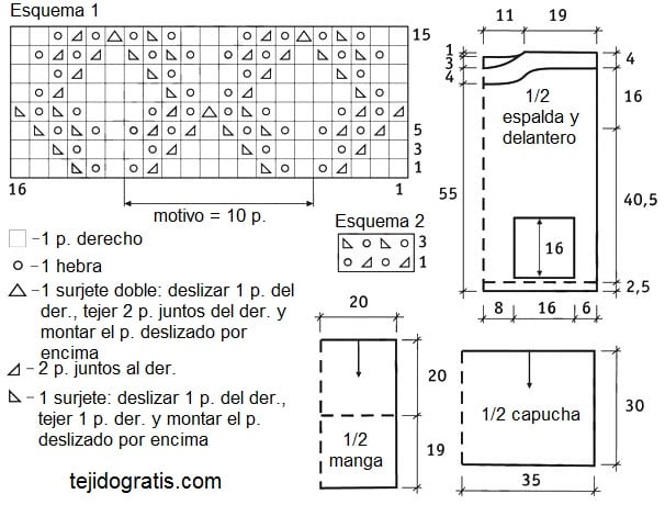 tunica 29 esquema