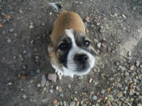 VFL.RU - ваш фотохостинг