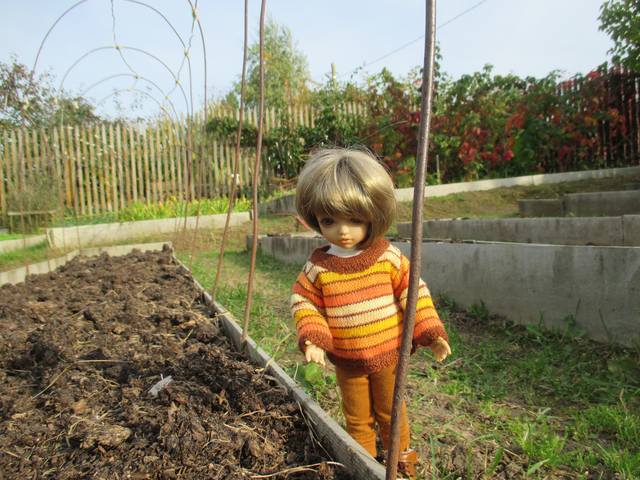 VFL.RU - ваш фотохостинг