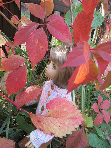 VFL.RU - ваш фотохостинг