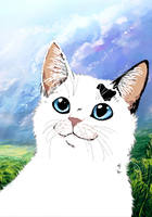 Pyatno1