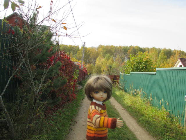 VFL.RU - ваш фотохостинг