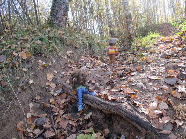 VFL.RU - ваш фотохостинг