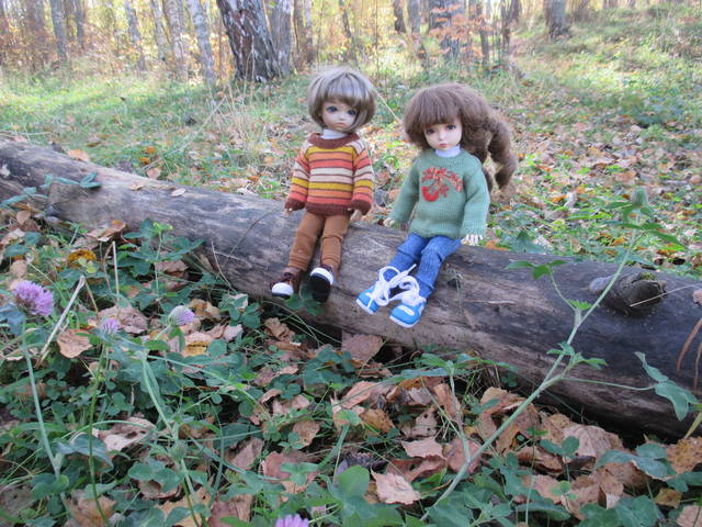 VFL.RU - ваш фотохостинг