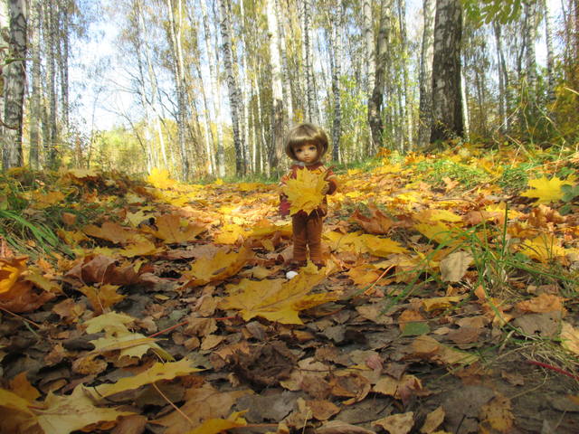 VFL.RU - ваш фотохостинг