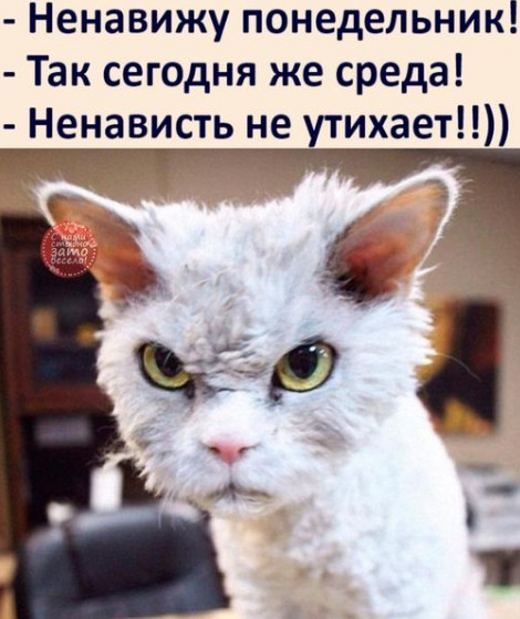 мая