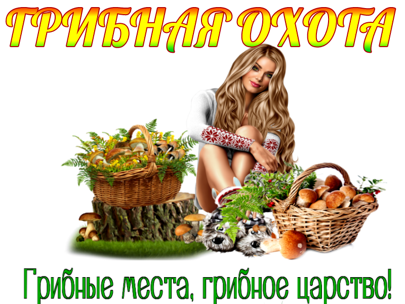 -- 1