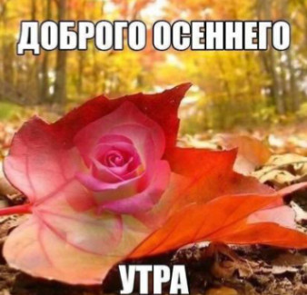 утро