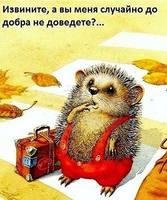 VFL.RU - ваш фотохостинг