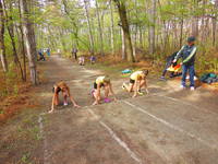 старт з бігу на 60м