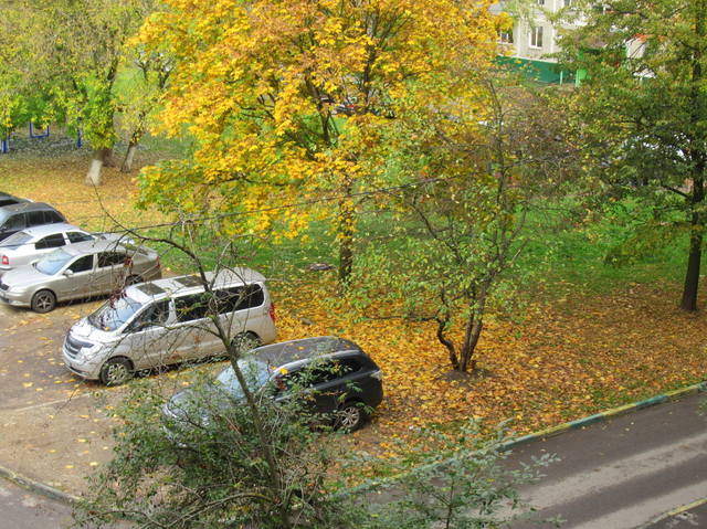 VFL.RU - ваш фотохостинг