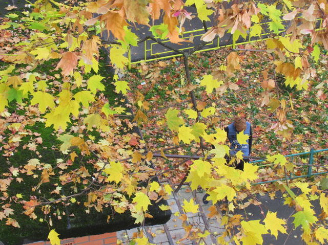 VFL.RU - ваш фотохостинг