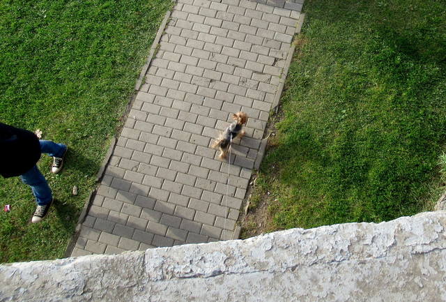 VFL.RU - ваш фотохостинг