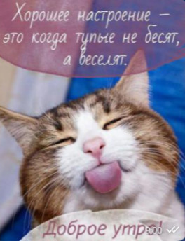 утро