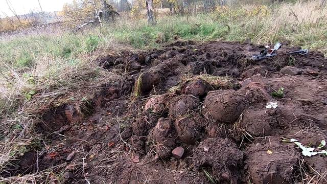 Кадр рубль (00-14-01)
