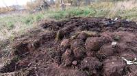 Кадр рубль (00-14-01)