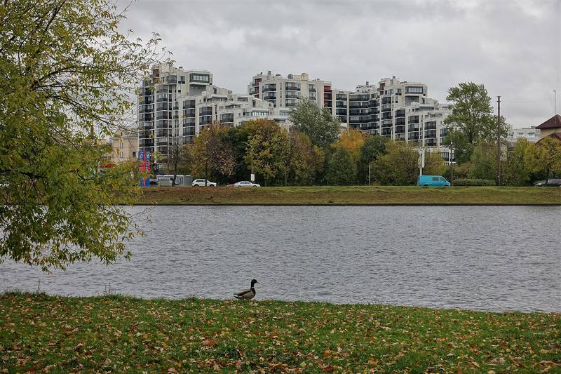 Парнас крестовский остров. Парк Динамо Крестовский остров. Южный пруд Крестовского острова. Динамо 2а Крестовский. Крестовский сквер Сестрорецк.