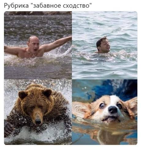 сходство