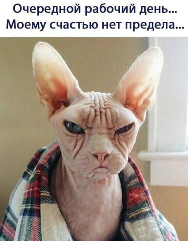 утро