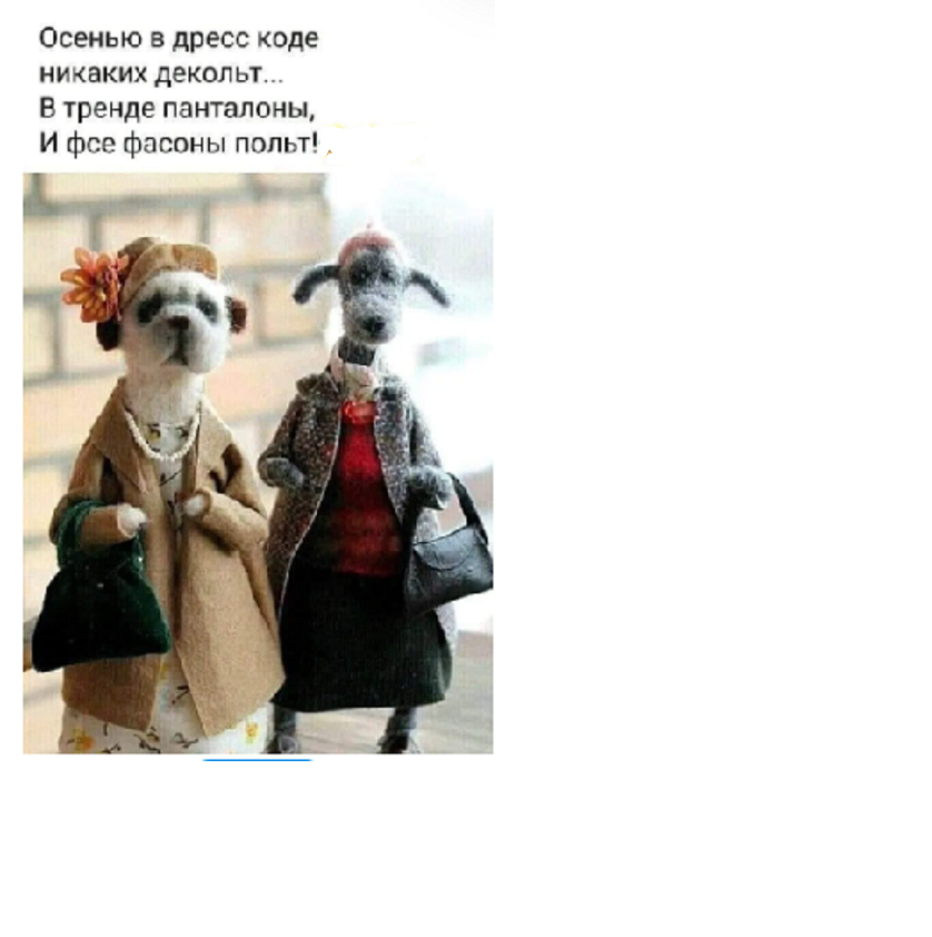 рад4
