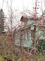 VFL.RU - ваш фотохостинг