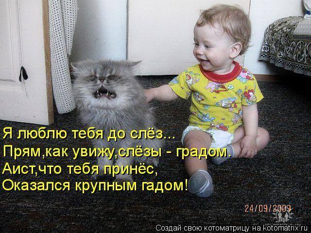 http://images.vfl.ru/ii/1603877893/2d247b1d/32107409_m.jpg