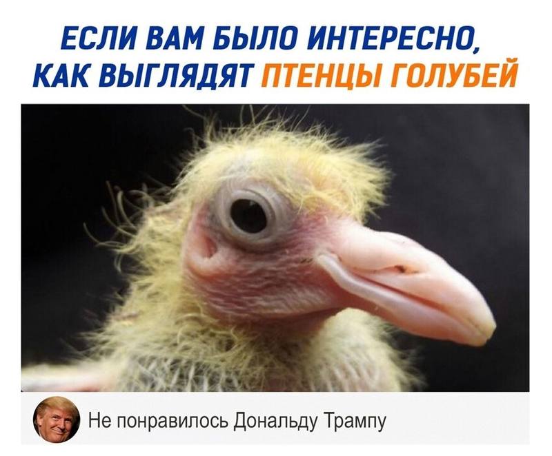 смешно e3j0rjAnziY