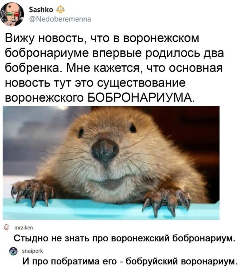 смешно смешно