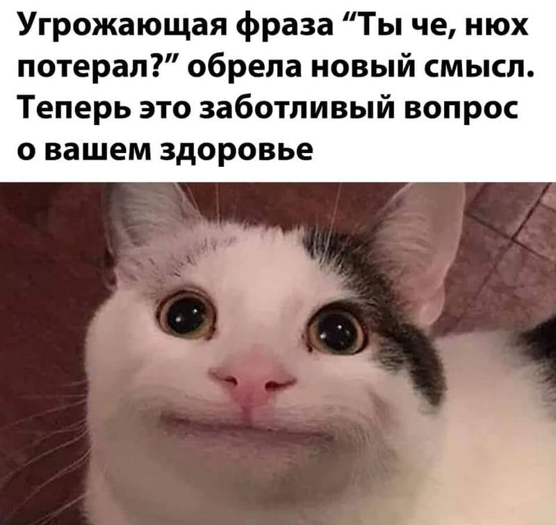 xFprUGfzrDI xFprUGfzrDI