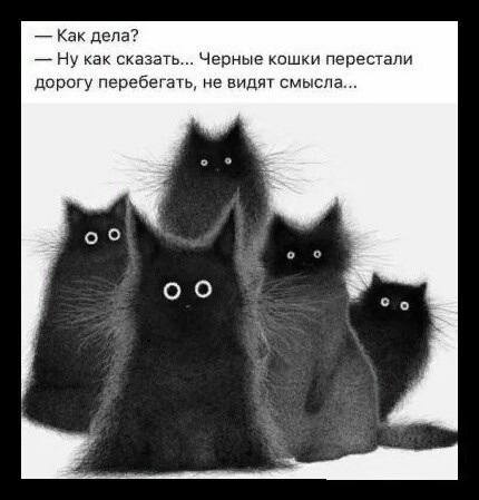 Юмор Юмор