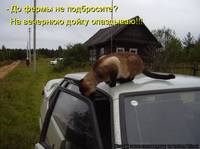VFL.RU - ваш фотохостинг