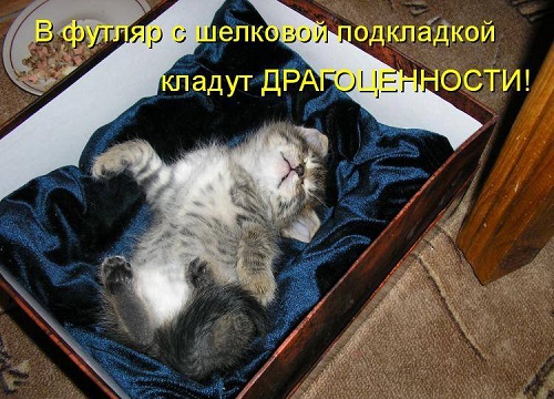 http://images.vfl.ru/ii/1604073659/b789d195/32131916.jpg