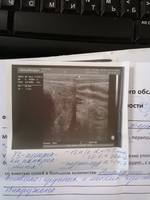 VFL.RU - ваш фотохостинг