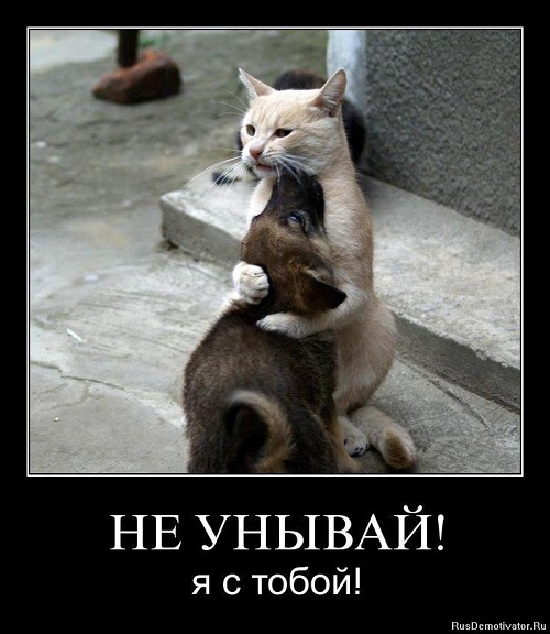http://images.vfl.ru/ii/1604310172/f849bb68/32156926.jpg
