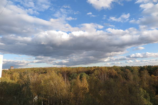 VFL.RU - ваш фотохостинг