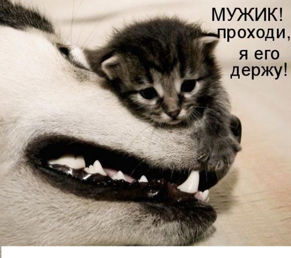 ijBO6RNglu