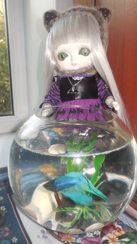 VFL.RU - ваш фотохостинг