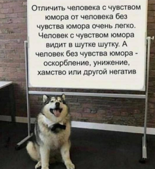 анекдот