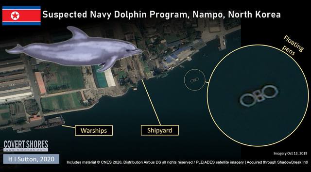 North-Korea-Navy-Dolphins-Nampo