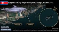 North-Korea-Navy-Dolphins-Nampo