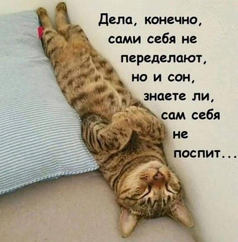 анекдот