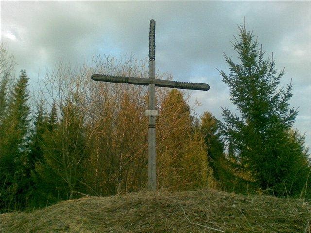 32303487.jpg