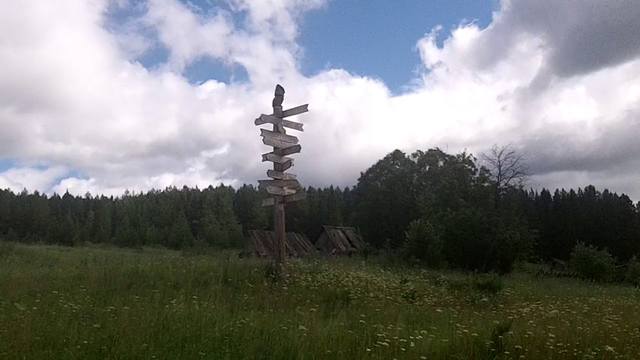 32309604.jpg