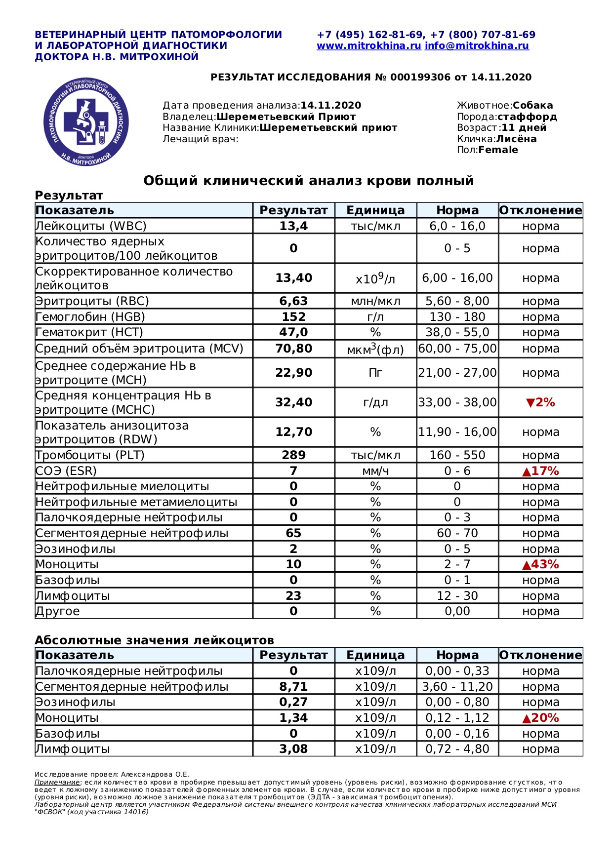 лисена