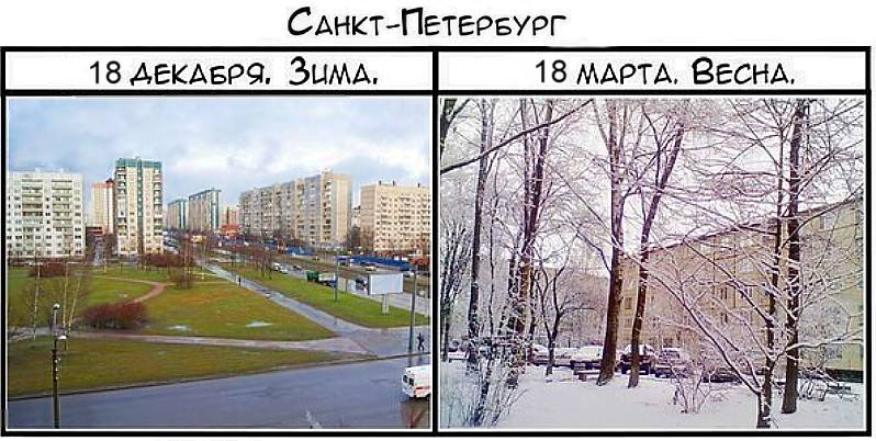 Новости Петербурга Новости
