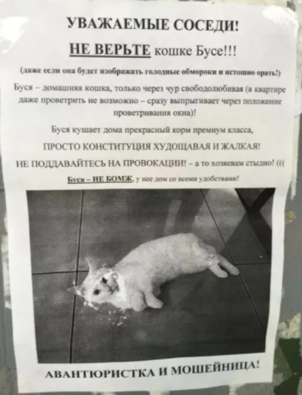 рад3 (1)