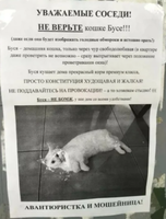 рад3 (1)